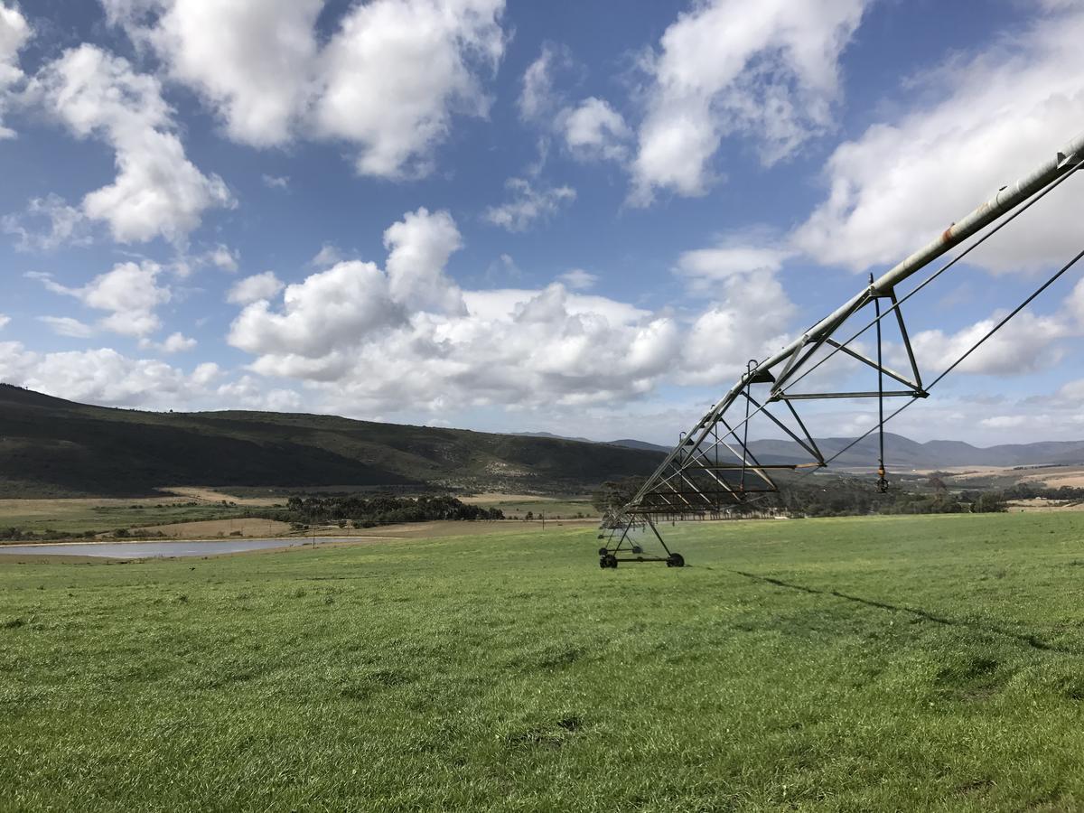 Goedvertrou Guest Farm Papiesvlei Εξωτερικό φωτογραφία