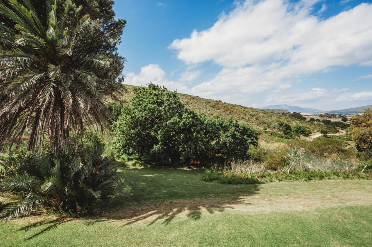Goedvertrou Guest Farm Papiesvlei Εξωτερικό φωτογραφία