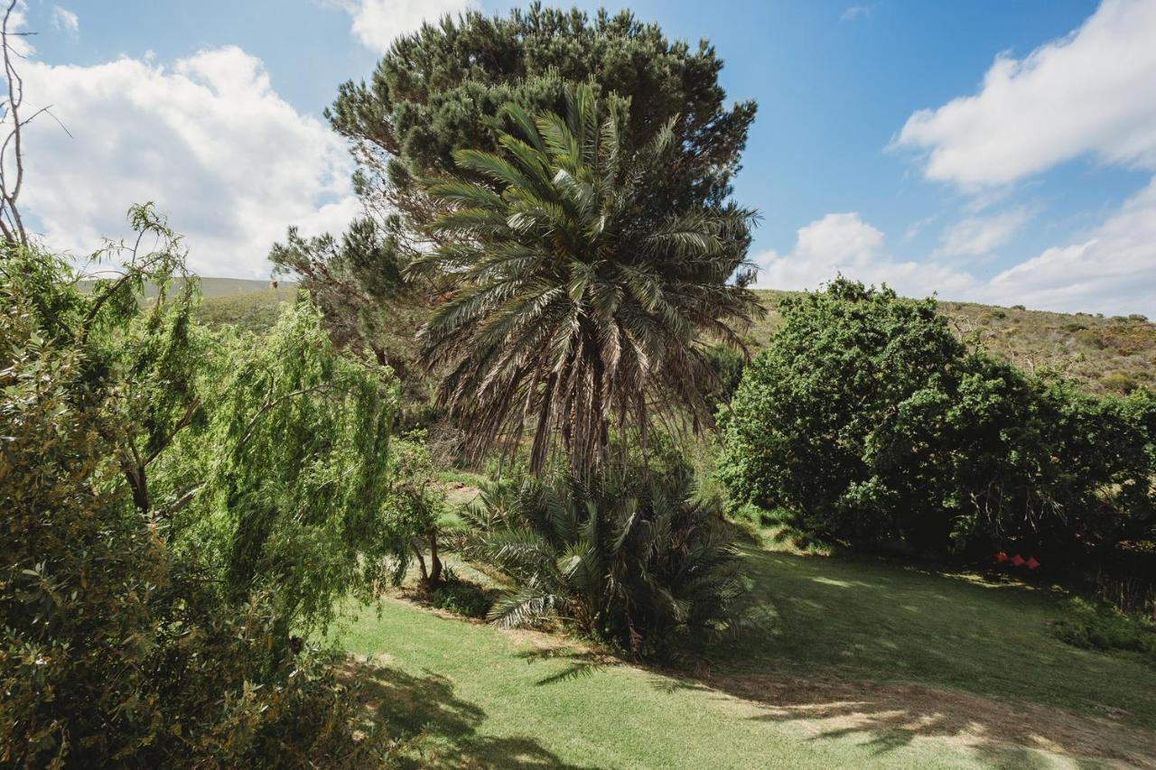 Goedvertrou Guest Farm Papiesvlei Εξωτερικό φωτογραφία