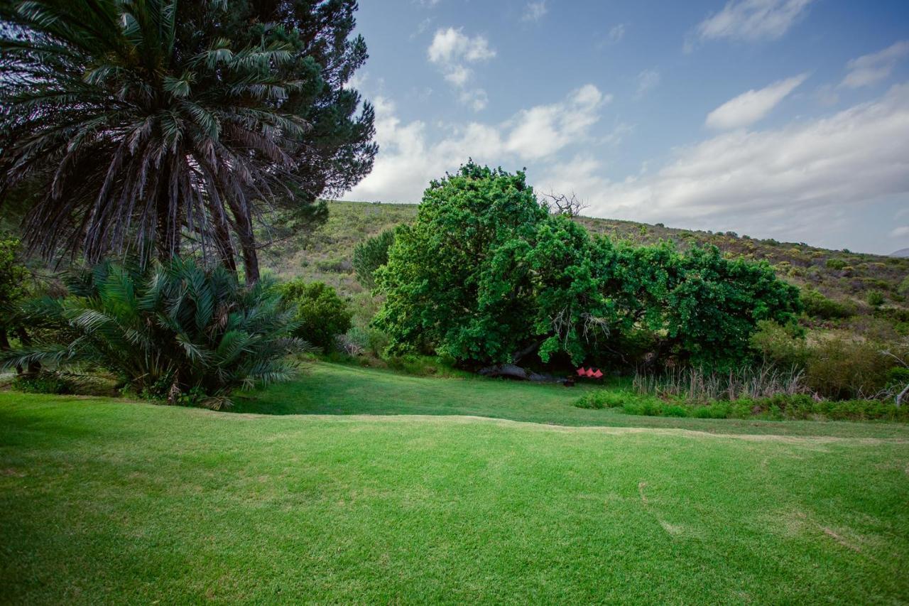 Goedvertrou Guest Farm Papiesvlei Εξωτερικό φωτογραφία