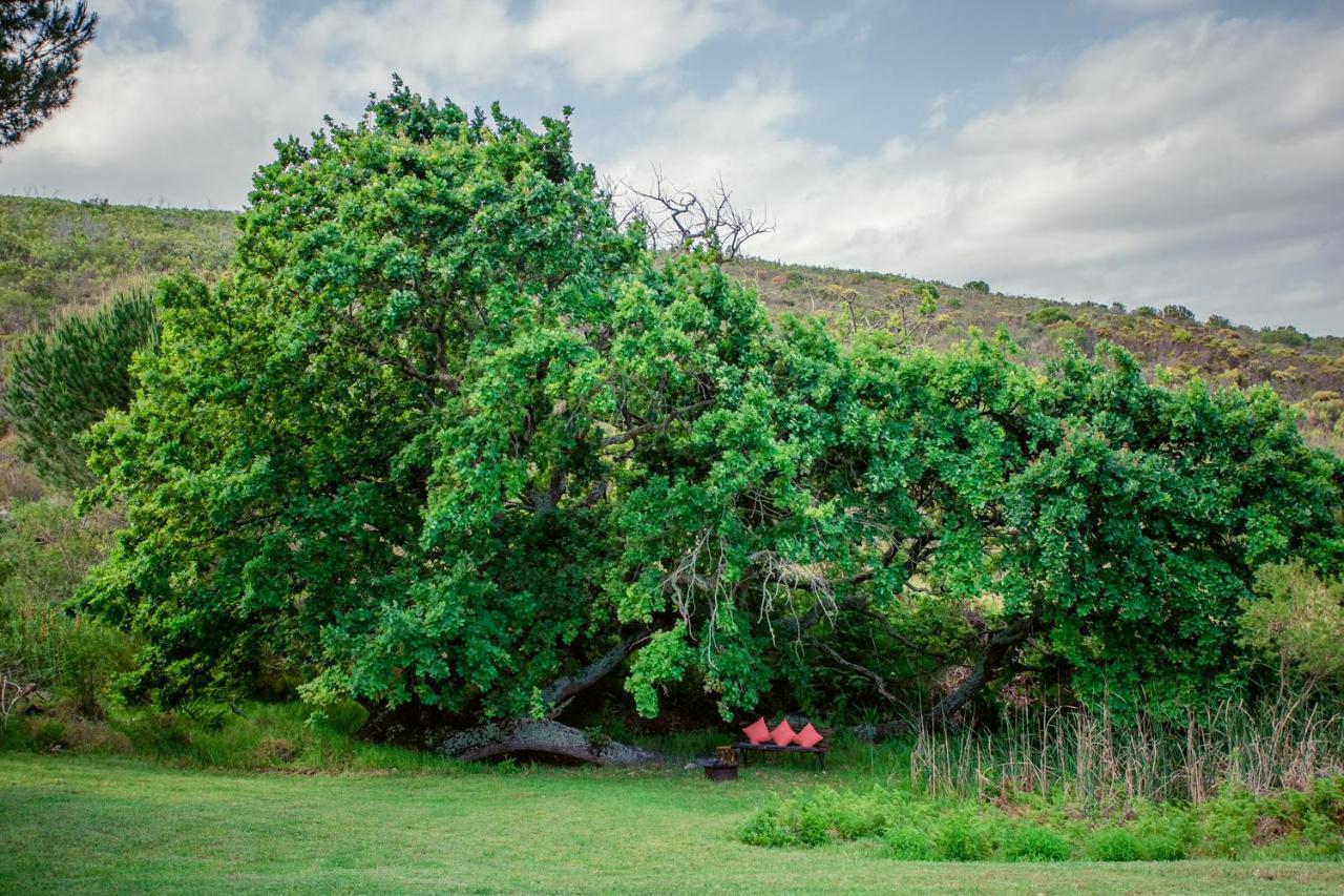 Goedvertrou Guest Farm Papiesvlei Εξωτερικό φωτογραφία